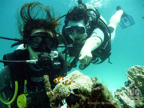 Try Scuba Diving And Discover Scuba Diving Indepth Phuket Idc Phuket