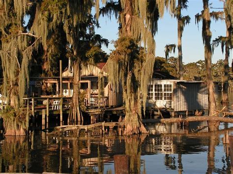 The Bayou On Pinterest Louisiana Houseboats And Louisiana Usa