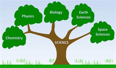 Branches Of Science Good Science