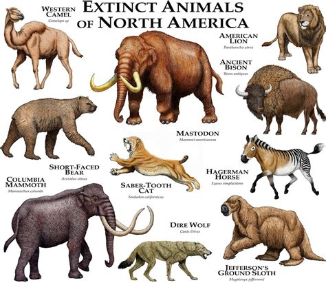 Extinct Mammals Of North America Poster Print Etsy France