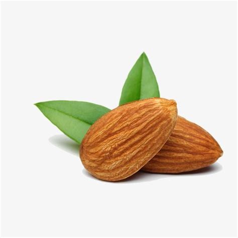 Having the similar taste to that of an almond, the seeds of the fruit are edible when fully ripened. Almond, Fruit, Nuts PNG Transparent Clipart Image and PSD ...