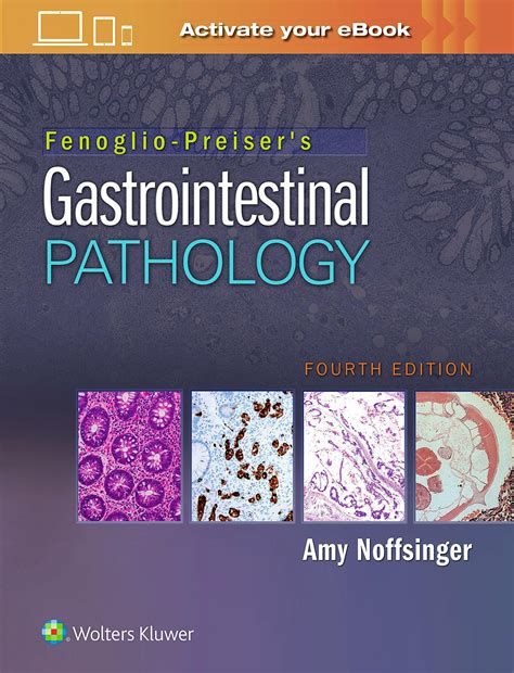 Fenoglio Preisers Gastrointestinal Pathology 9781496329073