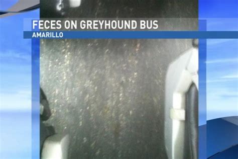 Watch Greyhound Passengers Complain Of Human Feces In The Aisle