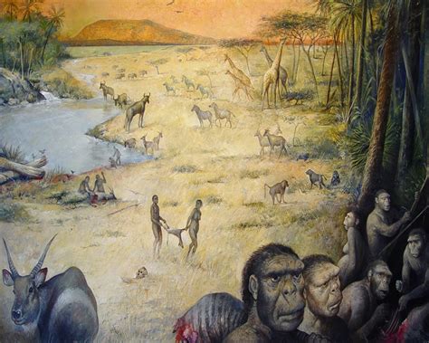 The Dragons Tales Homo Habilis And Paranthropus Boisei Pleistocene