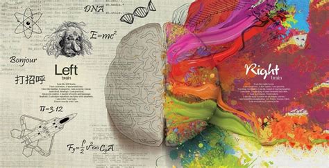 Psychology Brain Hd Wallpapers Top Free Psychology Brain Hd