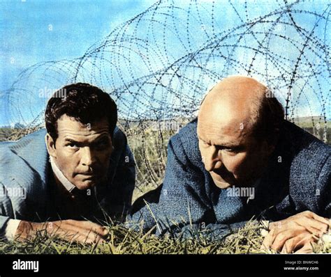 James Garner And Donald Pleasence The Great Escape 1963 Stock Photo