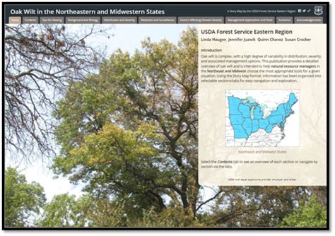 New Story Map Helps Navigate Oak Wilt Disease Threat In Northeast