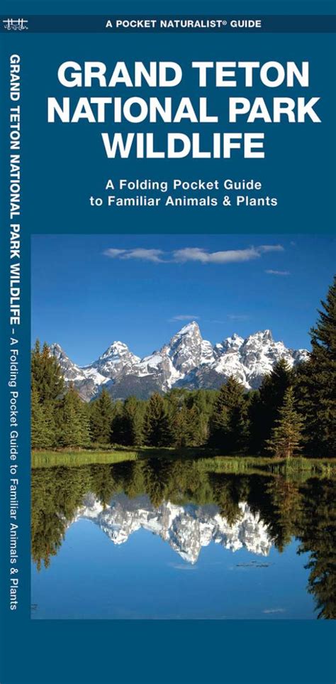 Grand Teton National Park Wildlife Pocket Guide