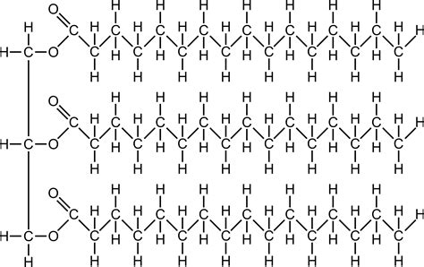 Clipart Fat Molecule
