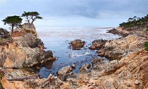 Lone Cypress Panorama Pebble Beach In Monterey California Photograph