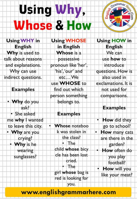 How To Use Why Whose And How In English English Grammar Here