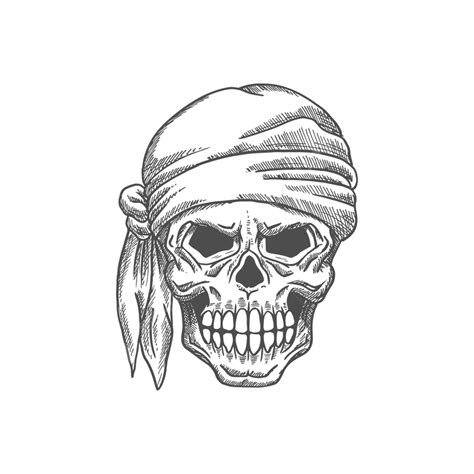 Pirate Skull In Bandana Isolated Human Skeleton Head Sketch Pirate