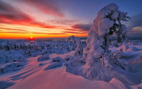 Wallpaper Winter Sunset Landscape Snow 2560x1600 Rudrachl