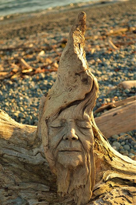 Driftwood Sculptures 12 Tales By Trees