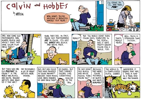 The Test Of Time A Random Sunday ‘calvin And Hobbes Comic Strip