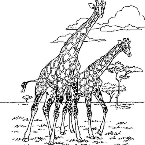 Top45 Coloriage À Imprimer Girafe Images Voyager En Solo