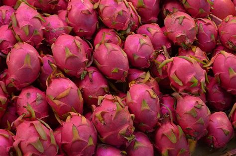 Read more about the benefits of exercise and physical activity guidelines for adults. Health Benefits of Dragon Fruit - Health Benefits of Eating