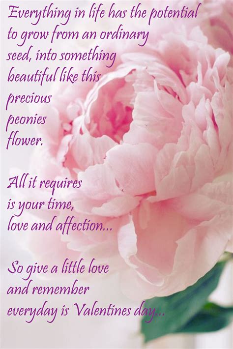 Feb* Quote | Beautiful birthday wishes, Facebook birthday wishes, Birthday wishes flowers