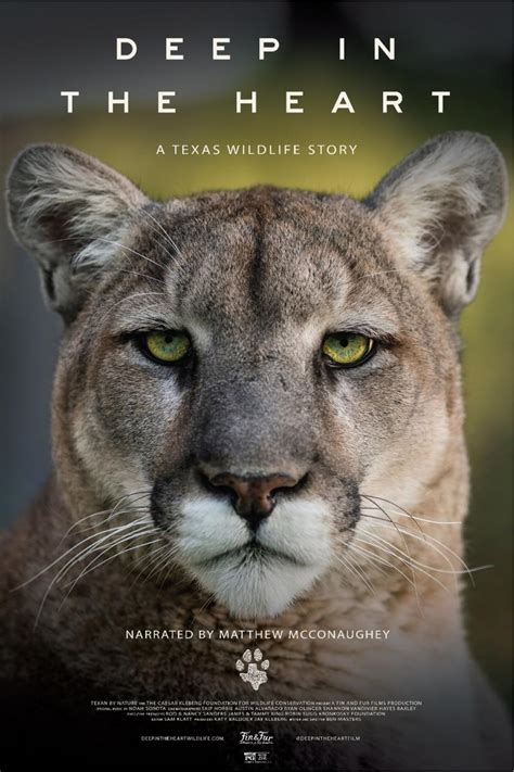 Deep In The Heart A Texas Wildlife Story 2022 Filmaffinity