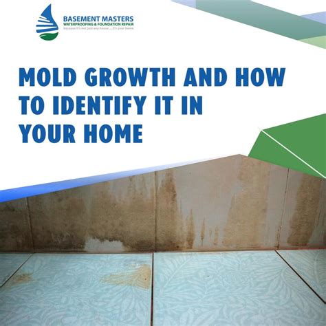 Mold Growth In Your Home And How To Identify Mold Growth Basement