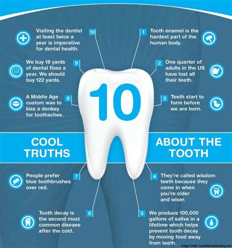 4 Important Dental Care Tips For A Lifetime Of Healthy Teeth Dental