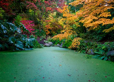 Fall Colors At The Seattle Arboretum On Behance