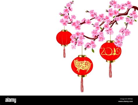 Chinese New Year Sakura And Red Lanterns With Pictures Of A Pig