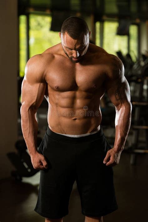 Muscled Male Model Posing In The Gym Stock Image Image Of Active