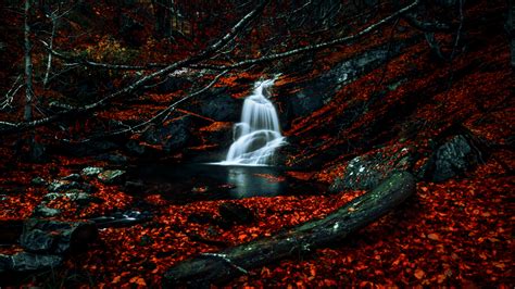 Download Autumn Red Leaves Forest Waterfall River Water Stream