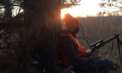 Minnesota Dnr Announces Fall Deer Hunting Regulations Twin Cities