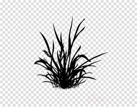Black And White Flower Clipart Plant Silhouette Black Transparent