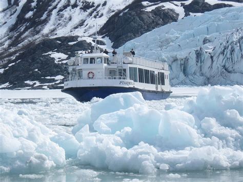 Portage Glacier Cruise Quick Glacier Tour Alaskaorg