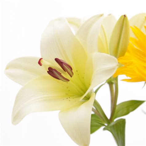 Sunflower And Lily Bouquet