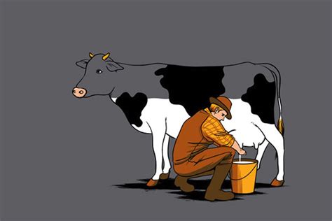 The camelids, as a family, include the new world camelids: Chocolate Milk Comes from Brown Cows | Andrew Bellay