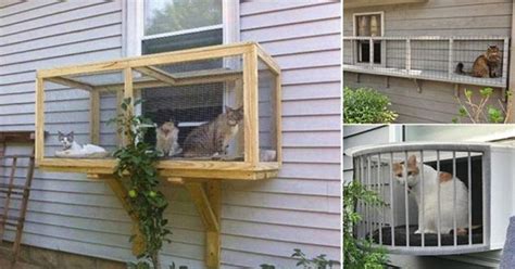 Screened Cat Porches Are A Great Way To Keep Your Kitty Safe Cat