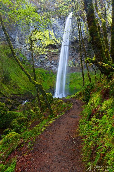 Trail To Happiness Elowah Falls Oregon Adrian Klein Photography
