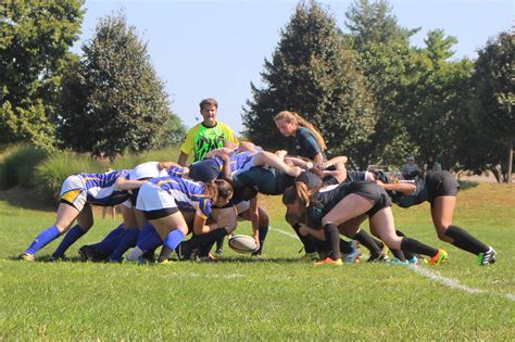 Share download.zip report bug or abuse donate. Hofstra Student Life: Club Sports Roundup