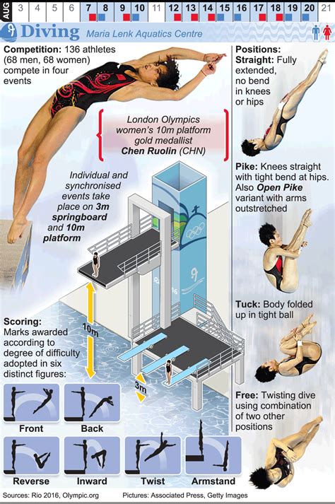 Rio 2016 Olympic Diving Infographic Olympic Basketball Olympic Sports