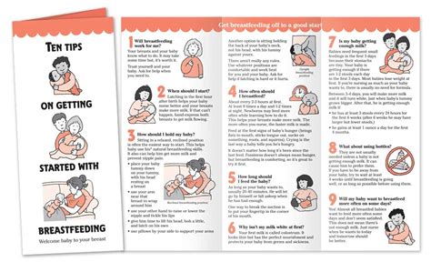 Ten Tips On Getting Started With Breastfeeding Pamphlet Noodle Soup