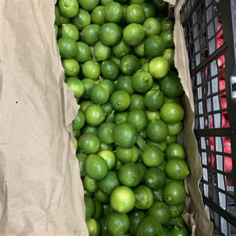 Mexican Key Limes Information Recipes And Facts