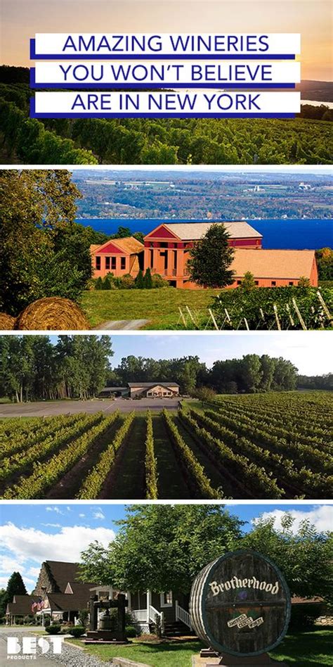 15 Best Wineries In New York Top New York State Wineries To Visit In 2018