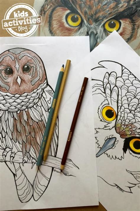 With these advanced owl coloring pages made specifically for teens and adults it won't get boring. Realistic Owl Coloring Pages | FaveCrafts.com