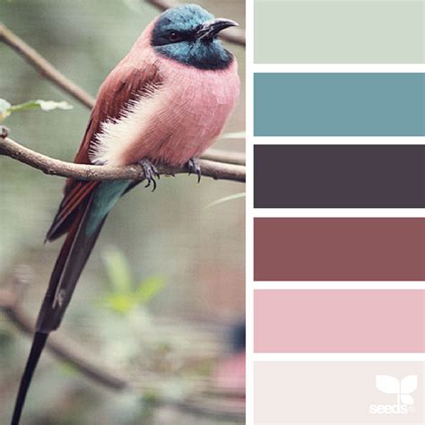Nature Inspired Color Palettes Aka Design Seeds For Designers Crafters