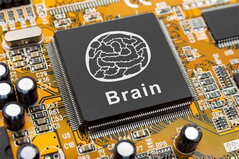 Brain Like Circuit Mimics Human Brain