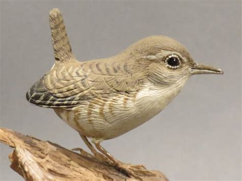 The Tiny Winter Wren Is Mounted On Driftwood Resembling A Shoe Overall