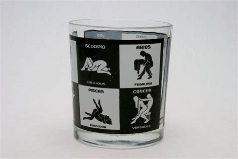 Zodiac Sexual Positions Barware Drink Glass Perfect For That