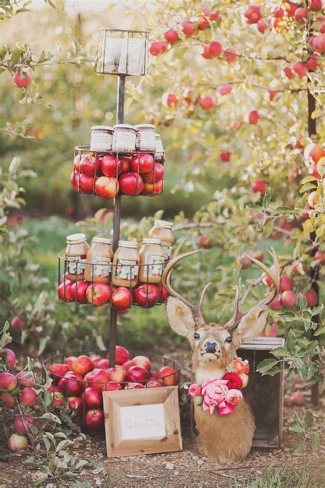 Apple Orchard Wedding Inspiration Apple Wedding Fall Wedding