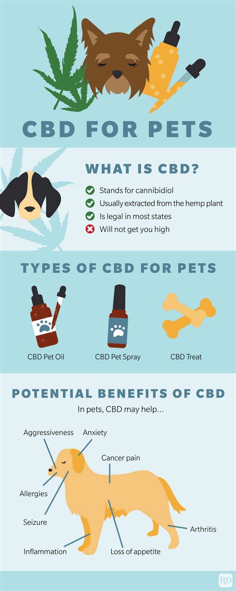 Cbd Oil For Dogs Treatments Benefits Side Effects And More Readers