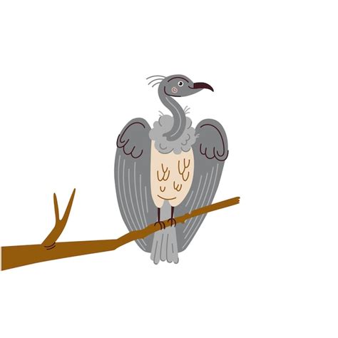 Premium Vector Cute Vulture Vector Illustration On White Background
