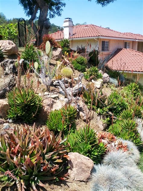 It is developed by rob kay and is suitable. Planting A Slope - The Smarter Gardener